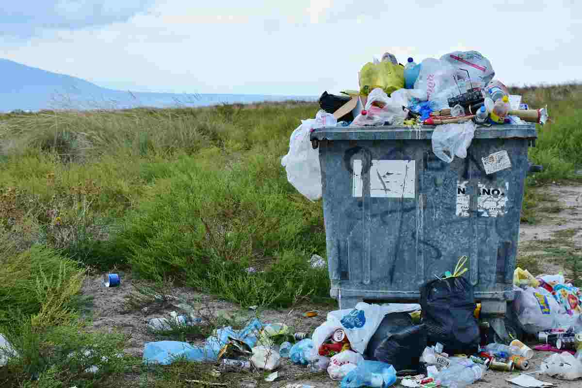 Cosa usiamo tutti i giorni che è un disastro per l'ambiente