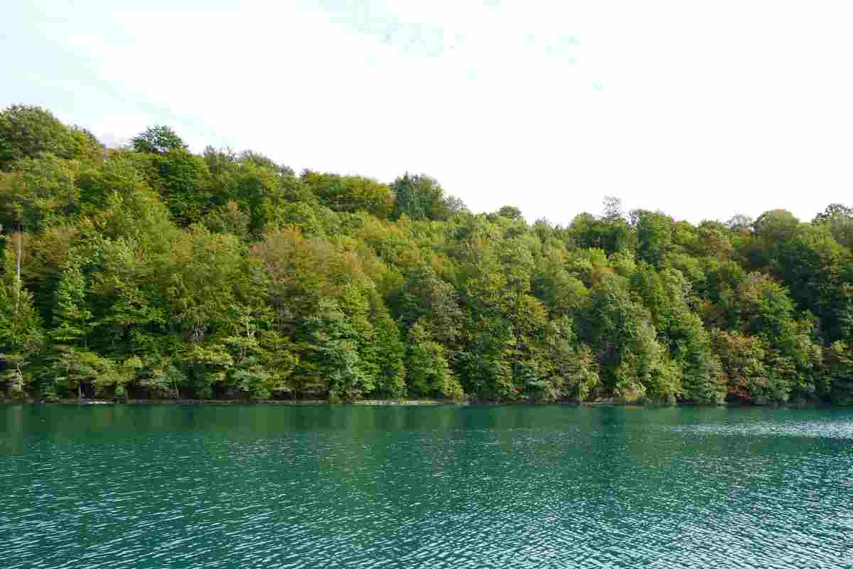 oasi incontaminata Veneto