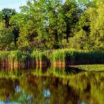 Vicino a Treviso c'è un'oasi di pace e bellezza